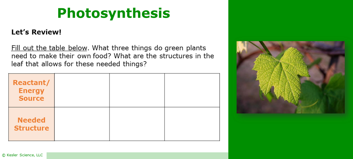 Photosynthesis Lesson Plan A Complete 5e Method Science Unit